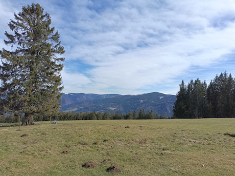 Blick vom Husleberg ins Oberrieder Tal.