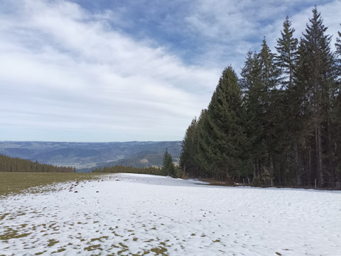 Letztes Schneefeld auf dem Husleberg.