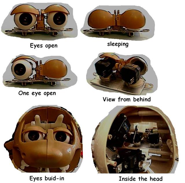 animatronicEyes.jpg#image_top